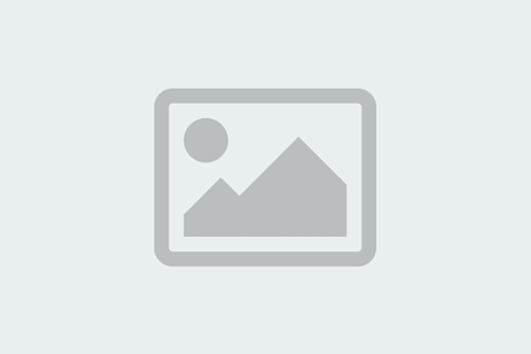 Affiliate and Blogging Income Reports — Learn from Success