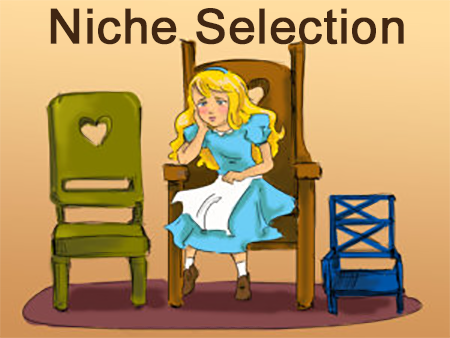 selecting a niche