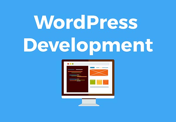 plugins themes