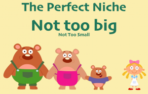 perfect niche