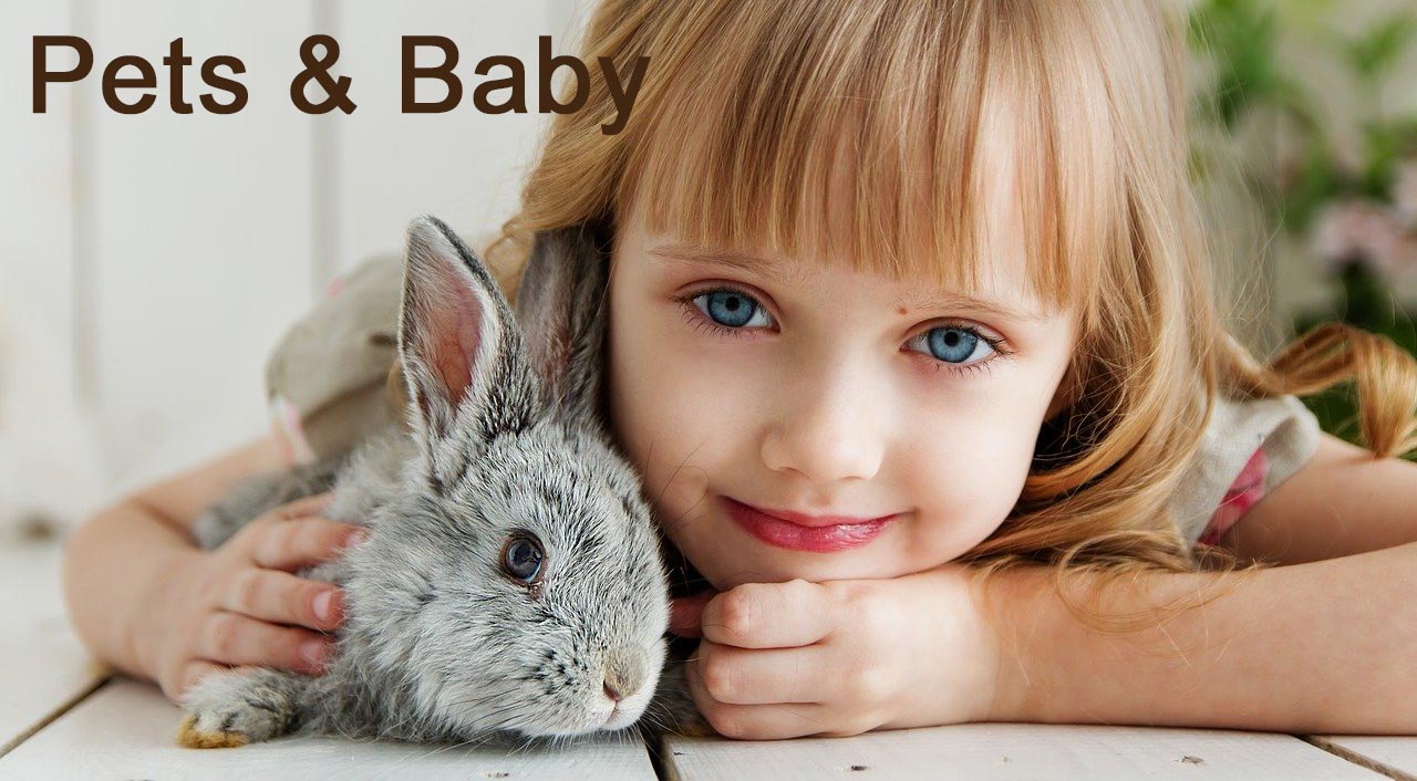 Pet & Baby Niches