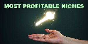 profitable niches